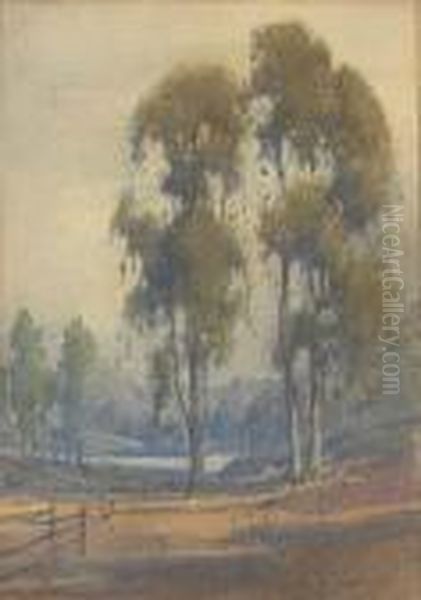 A Stand Of Eucalyptus With An Old Fence In The Foreground - view 1