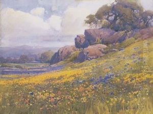 Near Burlingame, California Near Burlingame, California