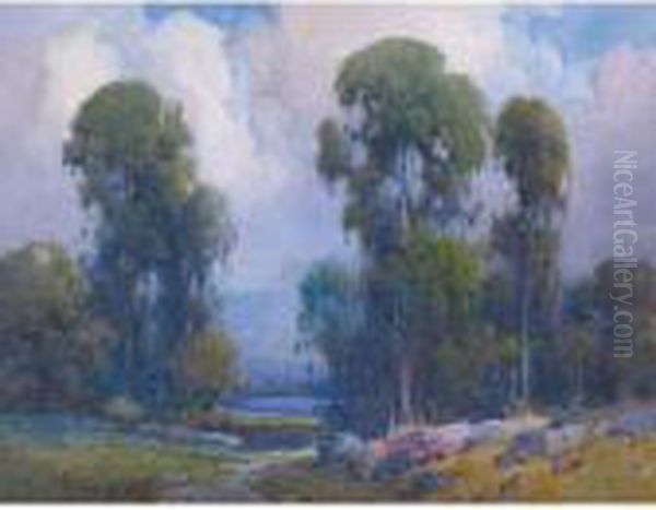 Eucalyptus Trees - view 1