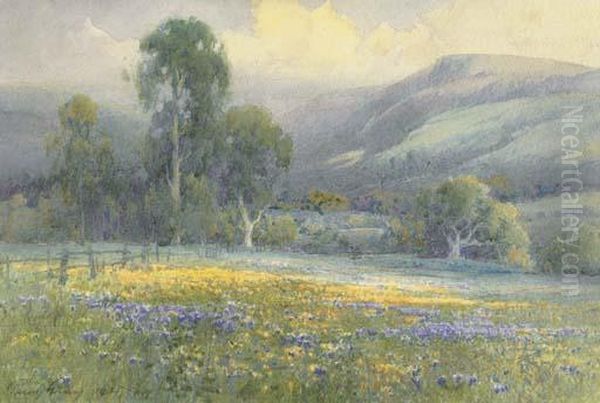 Spring Landscape With Eucalyptus - view 1