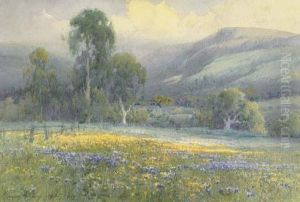 Spring Landscape With Eucalyptus