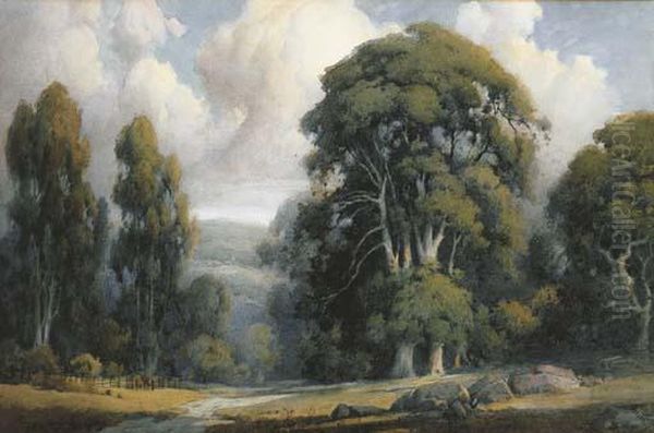 Eucalyptus Grove, Morning - view 1