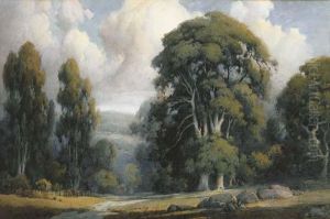 Eucalyptus Grove, Morning