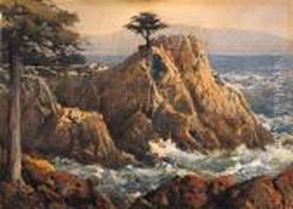 The Lone Cypress - view 1