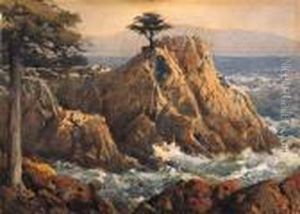 The Lone Cypress