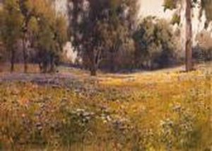 Wildflowers And Eucalyptus by Percy Gray