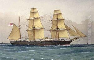 The Wild Swan 1906 by William Frederick Mitchell