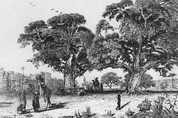 View of Ezbekiyah, Cairo c. 1835 - view 1