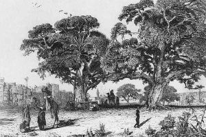 View of Ezbekiyah, Cairo c. 1835 by Prosper-Georges-Antoine Marilhat