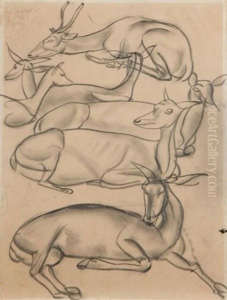 Gazelles - view 1