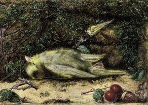 A Bird Resting On A Mossy Bank