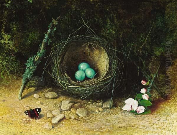 Still Life With Bird's Nest - view 1