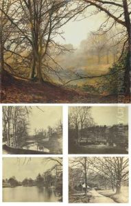 Study Of Beeches, Evening Effect by John Atkinson Grimshaw