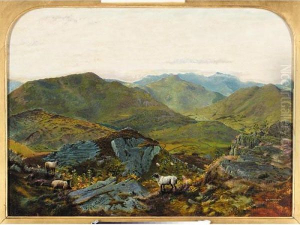 Landscape In The Lake District - view 1