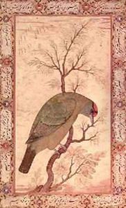 A Barbet by (Ustad Mansur) Mansur