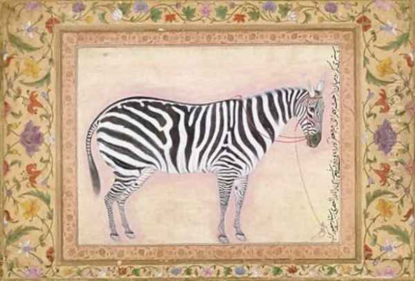 Zebra from the Minto Album 1621 - view 1
