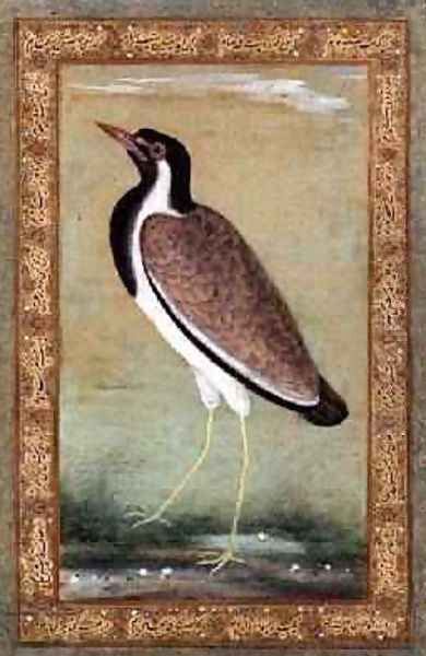 Indian lapwing 1800 - view 1