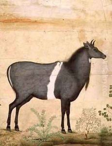 Nilgai blue cow Mughal School