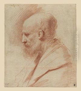 Head Of St. Joseph