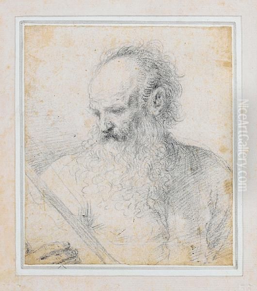 Study Of Saint Matthew Turned To His Right - view 1