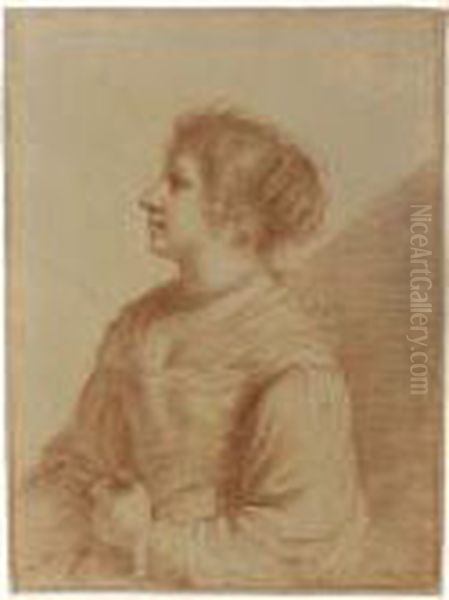 Study Of A Woman, In Profile To The Left - view 1