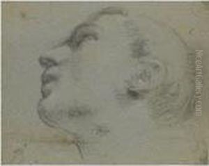 The Head Of A Man Turned To The Left