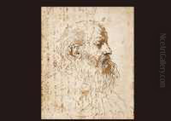 Study Of The Head Of A Beard Man In Profile To The Right - view 1