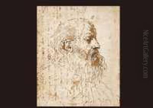 Study Of The Head Of A Beard Man In Profile To The Right by Giovanni Francesco Barbieri