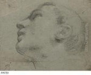 Head Of A Man Looking Up To The Left (recto); Study Of A Foot(verso)