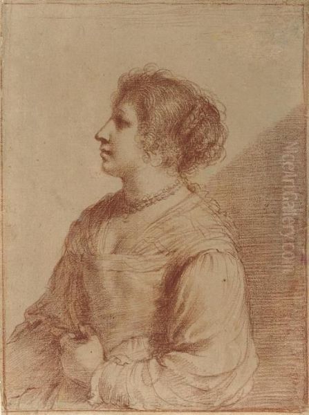 Portrait Of A Lady, Half-length, In Profile To The Left - view 1