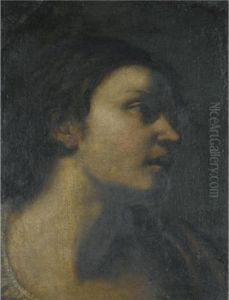 A Study Of A Head