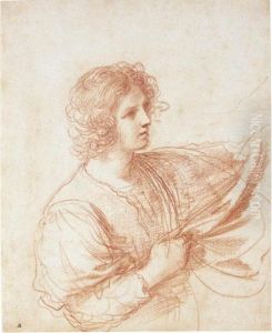 Youth Holding A Swag Of Drapery by Giovanni Francesco Barbieri