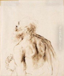 Half Length Figure Of St Jerome In Prayer by Giovanni Francesco Barbieri