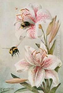 Bees and Lilies illustration from Stories of Insect Life by Louis Fairfax Muckley
