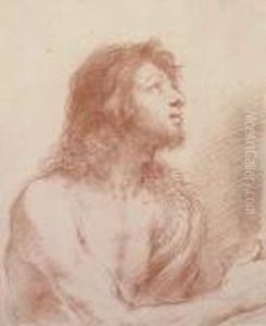 Saint John The Baptist, Half-length, Looking Up To The Right,holding A Bowl by Giovanni Francesco Barbieri