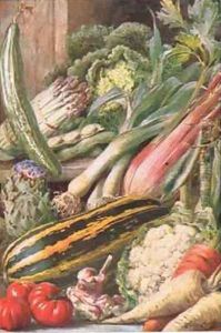 Garden Vegetables illustration from Garden Ways and Garden Days by Louis Fairfax Muckley