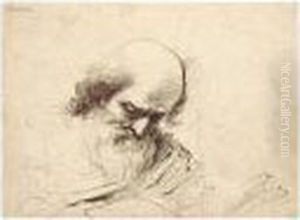 Head Of An Old Man Reading. by Giovanni Francesco Barbieri