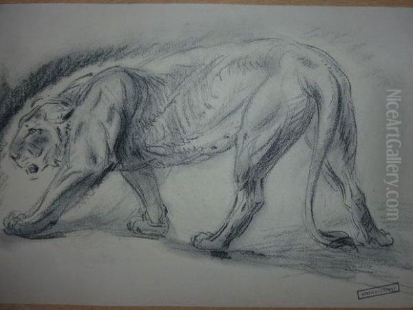 Le Tigre Marchant. - view 1