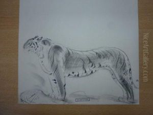 Le Tigre A L'affut. by Gustave Guetant