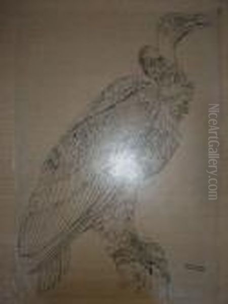 Le Condor. - view 1
