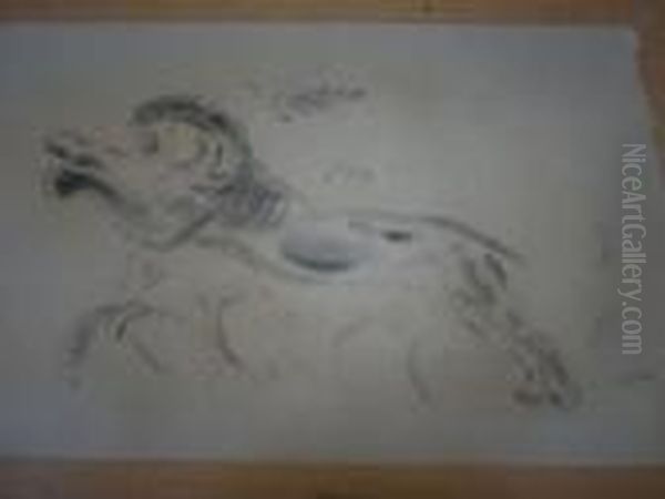 Le Jaguar Bondissant. - view 1