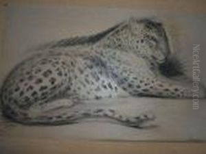 Le Guepard Allonge. by Gustave Guetant