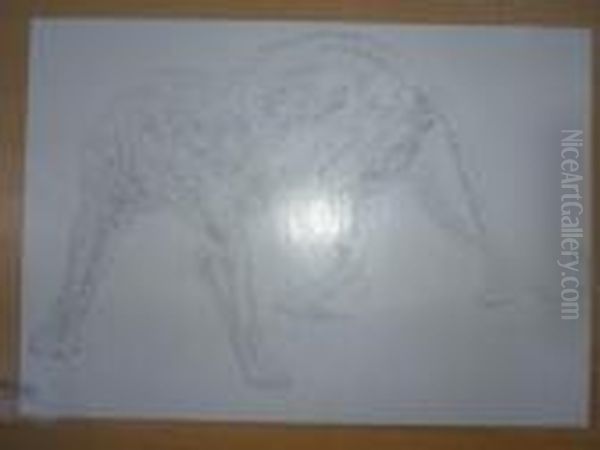 Le Jaguar A L'affut. - view 1