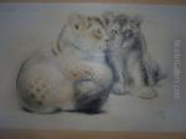 2 Lionceaux. - view 1