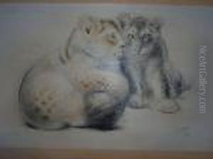 2 Lionceaux.