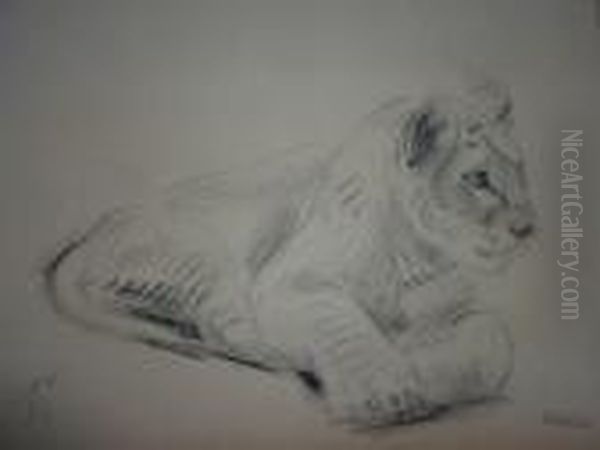 Lionne Allongee. - view 1