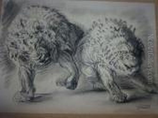 2 Lions. - view 1