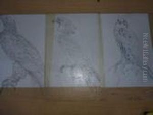 D'aigles Sur Calque.