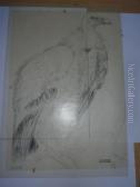 Vautour. - view 1