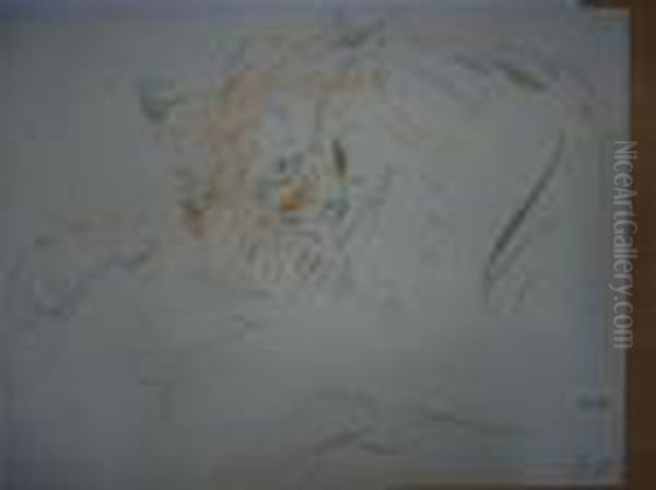 Tete De Tigre. - view 1